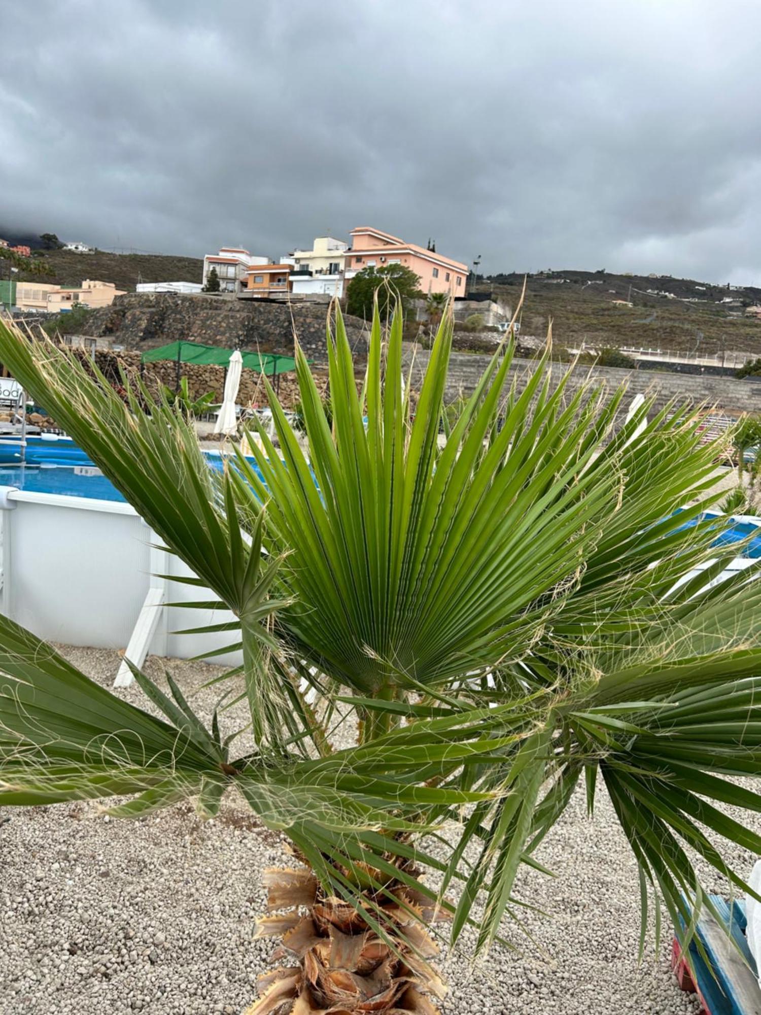 Casa Mirador Apartment Arona  Bagian luar foto