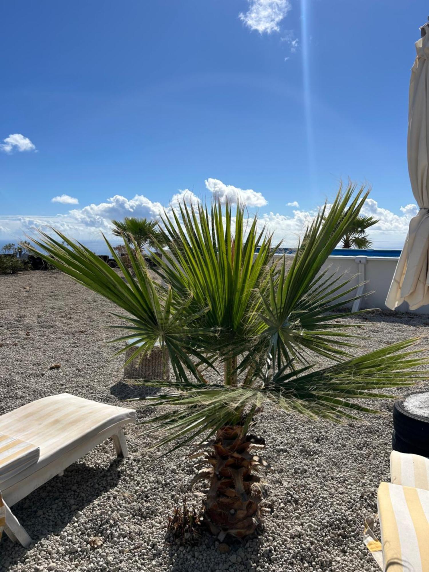 Casa Mirador Apartment Arona  Bagian luar foto